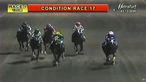 BAYANG KARERISTA (BK2024) The No.1 horse racing .